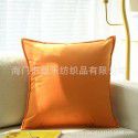 Thickened plush sofa, pillow, cushion cover, office waist pillow, cashmere velvet bed pillow, square core manufacturer 