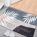 Nordic simple crystal velvet floor mat Non slip water absorbing doormat Cartoon ins Air bathroom porch Toilet 