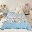 Autumn and winter thickened milk velvet bed cover three piece quilted cotton crystal velvet blanket lace warm blanket sub sheet 