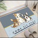 Nordic simple crystal velvet floor mat Non slip water absorbing doormat Cartoon ins Air bathroom porch Toilet 