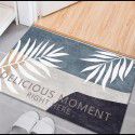 Nordic simple crystal velvet floor mat Non slip water absorbing doormat Cartoon ins Air bathroom porch Toilet 