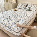 Autumn and winter new class A milk velvet fitted sheet, soybean antibacterial cotton clip thickened bedspread, Farai velvet warm protective cover 