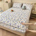 Autumn and winter new class A milk velvet fitted sheet, soybean antibacterial cotton clip thickened bedspread, Farai velvet warm protective cover 