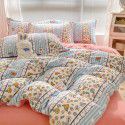 Autumn and winter cartoon small fresh milk velvet four piece set plush double faced plush thickened bed sheet quilt cover bed three piece set 