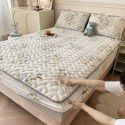 Autumn and winter new class A milk velvet fitted sheet, soybean antibacterial cotton clip thickened bedspread, Farai velvet warm protective cover 