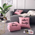 Washed Cotton Embroidery Throw Pillow by Car Sofa Throw Pillow Air Conditioner Thickened by Autumn and Winter Warm Double sided Quilt Large 
