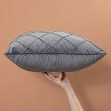 Sofa pillow Dutch velvet pillow Home sofa upholstery pillow case Cross border popular Amazon pillow ins 