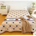 Winter Teddy plush thickened milk wool blanket bedding straight edge milk wool thickened bed blanket 