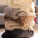 Four seasons blanket thickened plush coral blanket midnight nap air conditioning blanket large size one for distribution wholesale one for distribution 