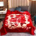 Raschel blanket double layer thickened single and double person cloud blanket in autumn and winter coral velvet flannel quilt double-sided flannel blanket 
