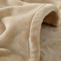 Solid flannel blanket winter coral blanket thickened warm bed sheet small blanket single double sofa blanket 