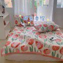 Winter Teddy plush thickened milk wool blanket bedding straight edge milk wool thickened bed blanket 