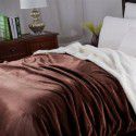 Thick blanket, small wool quilt in winter, double layer thickened insulation, single leg covering, afternoon nap, student dormitory, coral blanket 