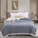 Tafurong blanket Double layer thickened jacquard lamb wool blanket Children's blanket Nap blanket 2023 new spot wholesale