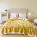Amazon taff leisure blanket solid color lamb blanket Subnet red popular double-layer gift blanket wholesale 