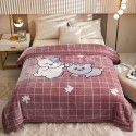 Raschel blanket double layer thickened single and double person cloud blanket in autumn and winter coral velvet flannel quilt double-sided flannel blanket 