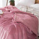 Thick blanket, small wool quilt in winter, double layer thickened insulation, single leg covering, afternoon nap, student dormitory, coral blanket 