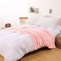 Pure Beibei velvet air conditioning blanket Farai velvet nap blanket coral velvet bed sheet thickening cat scratch proof sofa towel wholesale 