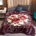 Raschel blanket double layer thickened single and double person cloud blanket in autumn and winter coral velvet flannel quilt double-sided flannel blanket 
