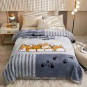 Raschel blanket double layer thickened single and double person cloud blanket in autumn and winter coral velvet flannel quilt double-sided flannel blanket 
