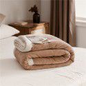 Three layer space capsule milk velvet soybean fiber blanket thickened coral velvet office sofa nap blanket in winter 