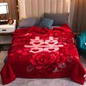 Raschel blanket double layer thickened single and double person cloud blanket in autumn and winter coral velvet flannel quilt double-sided flannel blanket 