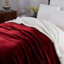 Thick blanket, small wool quilt in winter, double layer thickened insulation, single leg covering, afternoon nap, student dormitory, coral blanket 