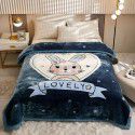 Raschel blanket double layer thickened single and double person cloud blanket in autumn and winter coral velvet flannel quilt double-sided flannel blanket 