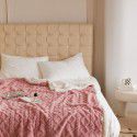 Autumn and Winter Pure Tuff Cashmere Lamb Blanket Double layer Leisure ins Wind Cover Blanket Jacquard Gift Blanket Wholesale 