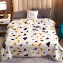 Raschel blanket double layer thickened single and double person cloud blanket in autumn and winter coral velvet flannel quilt double-sided flannel blanket 