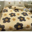 Winter Teddy plush thickened milk wool blanket bedding straight edge milk wool thickened bed blanket 