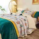 Amazon spot double-layer blanket thickened winter children's nap blanket coral wool warm flange blanket 