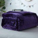 Thick blanket, small wool quilt in winter, double layer thickened insulation, single leg covering, afternoon nap, student dormitory, coral blanket 
