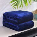 Wholesale of Falai velvet blanket blanket solid coral velvet blanket plain blanket bed sheet 
