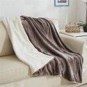 Thick blanket, small wool quilt in winter, double layer thickened insulation, single leg covering, afternoon nap, student dormitory, coral blanket 