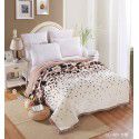 Raschel blanket double layer thickened single and double person cloud blanket in autumn and winter coral velvet flannel quilt double-sided flannel blanket 