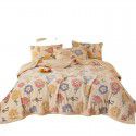 Amazon spot double-layer blanket thickened winter children's nap blanket coral wool warm flange blanket 
