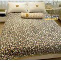 Winter Teddy plush thickened milk wool blanket bedding straight edge milk wool thickened bed blanket 