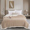 Tafurong blanket Double layer thickened jacquard lamb wool blanket Children's blanket Nap blanket 2023 new spot wholesale