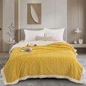 Tafurong blanket Double layer thickened jacquard lamb wool blanket Children's blanket Nap blanket 2023 new spot wholesale
