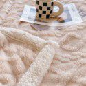 Taff nap blanket thickened lamb wool blanket in winter solid color spring and autumn blanket coral blanket wholesale 