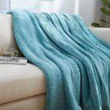 Thick blanket, small wool quilt in winter, double layer thickened insulation, single leg covering, afternoon nap, student dormitory, coral blanket 