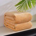 Wholesale of Falai velvet blanket blanket solid coral velvet blanket plain blanket bed sheet 