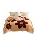 Raschel blanket thickened in winter, air conditioning, nap cover blanket, single dormitory, student flannel blanket, quilt 