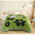Raschel blanket thickened in winter, air conditioning, nap cover blanket, single dormitory, student flannel blanket, quilt 