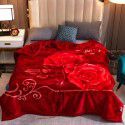 Raschel blanket double layer thickened single and double person cloud blanket in autumn and winter coral velvet flannel quilt double-sided flannel blanket 