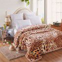 Raschel blanket double layer thickened single and double person cloud blanket in autumn and winter coral velvet flannel quilt double-sided flannel blanket 