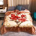 Raschel blanket double layer thickened single and double person cloud blanket in autumn and winter coral velvet flannel quilt double-sided flannel blanket 