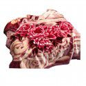 Raschel blanket double layer thickened single and double person cloud blanket in autumn and winter coral velvet flannel quilt double-sided flannel blanket 