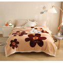 Raschel blanket thickened in winter, air conditioning, nap cover blanket, single dormitory, student flannel blanket, quilt 